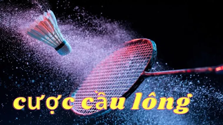 Cách Chơi Cá Cược Cầu Lông Tại WINVN Chuẩn Xác Nhất