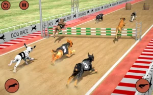 Bí Kíp Vô Địch Với Cách Chơi Game Nhanh Đua Chó Tại WINVN